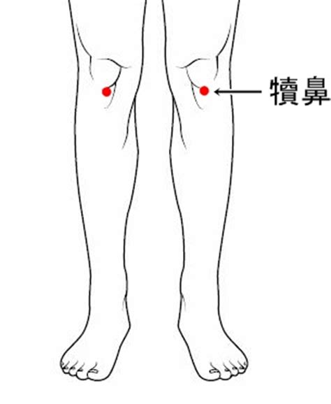 讀鼻穴|犢鼻穴:名稱釋義,功能作用,治法,定位,解剖,主治,操作,臨床運用,配。